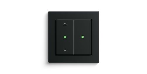 GIRA RF wandzender 2-voudig voor KNX 